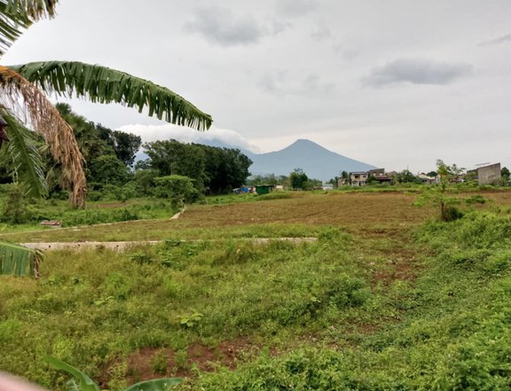 9,000 sqm Commercial Lot For Sale in Tayabas Quezon