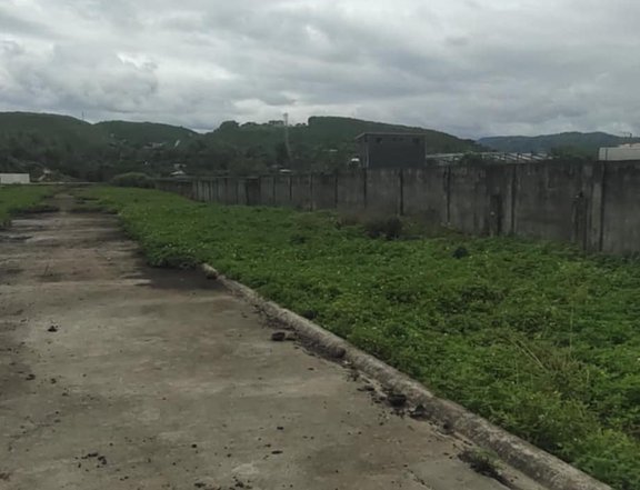 50 sqm Residential/Industrial Lot for Sale in Consolacion, Cebu