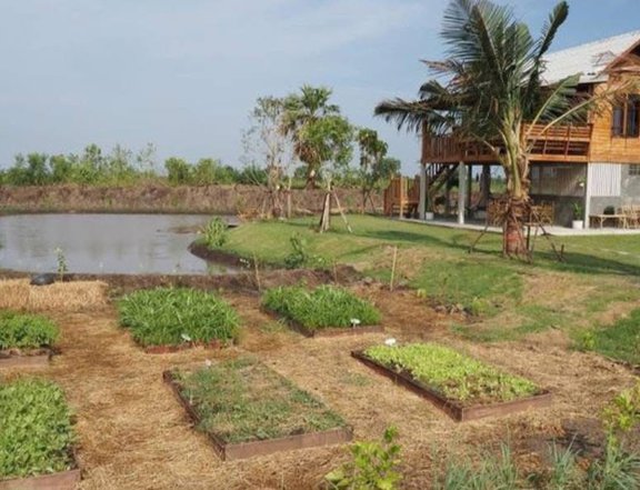 Cold Farm near Tagaytay