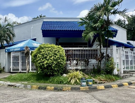House and Lot For Sale at Mapayapa Village, Sampaguita Avenue Quezon City near BF Homes, Don Antonio
