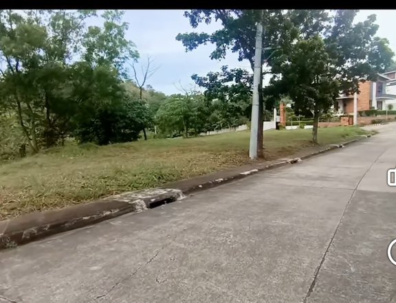 517 sqm Residential Lot For Sale in Taytay Rizal