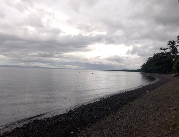 Inherited 7522 sqm Beach Property For Sale in Baybay, Leyte