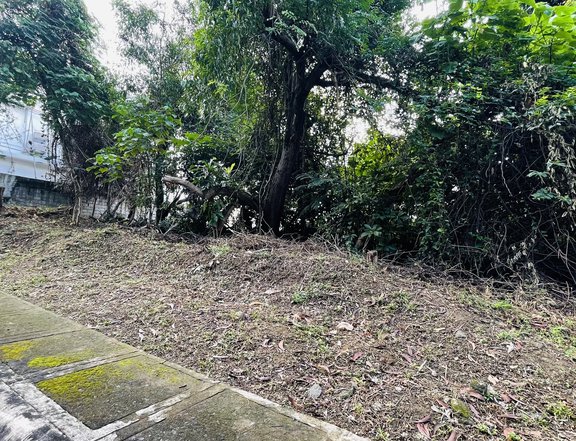 Parkridge Estates Subd. 484 sqm Residential Lot For Sale in Antipolo Rizal