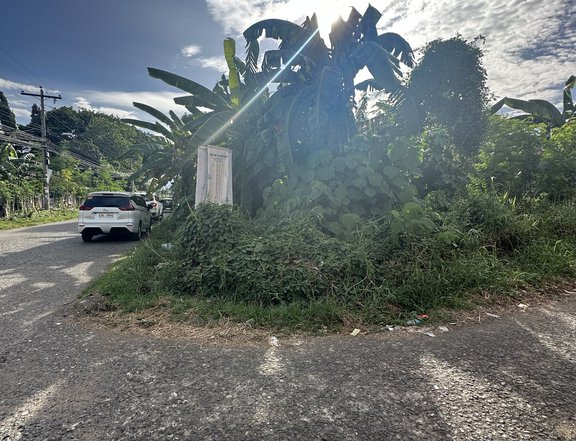 Residential Lot For Sale in Wellspring, Davao City