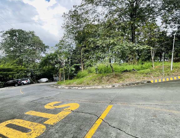 541 sqm Residential Lot For Sale in  Parkridge Estate Subd. Antipolo Rizal