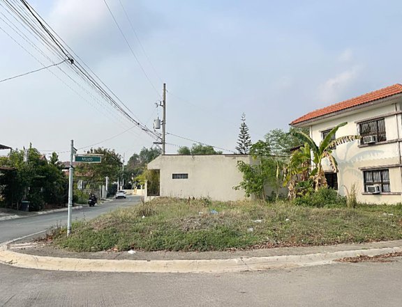 163sqm Residential Lot For Sale in Havila Taytay Rizal