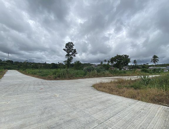 300 sqm Residential Lot For Sale in Silang Cavite