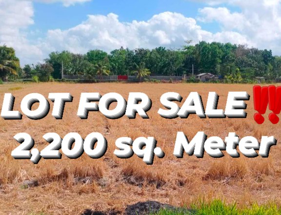 2,200 sqm residential farm lot for sale in SAN MIGUEL ILOILO