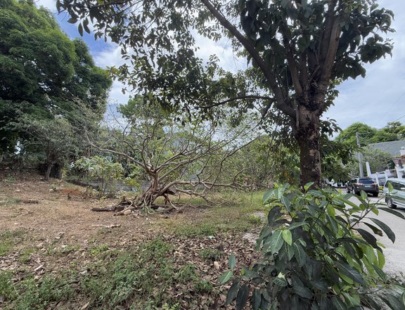 Adjacent lot with 120sqm each lot at kingsville royale subdivision
