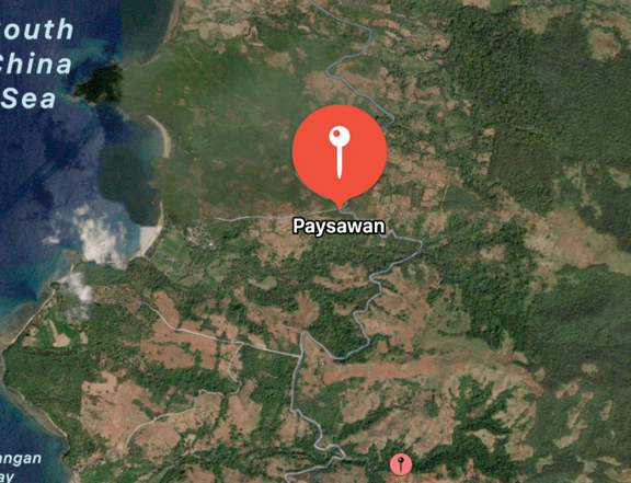 56 hectares Raw Land For Sale in Bagac Bataan