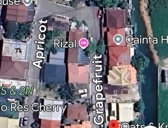 Lot for Sale  GREENLAND EXEC VILL Cainta lot  Phase 5  300sqm lot area