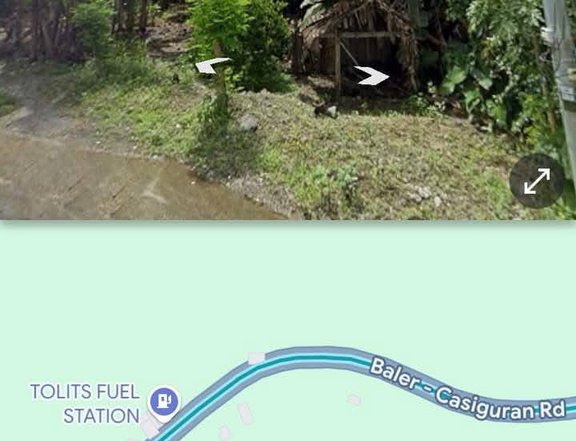 403 sqm Residential or Commercial Spot along national highway For Sale in Dipaculao Aurora