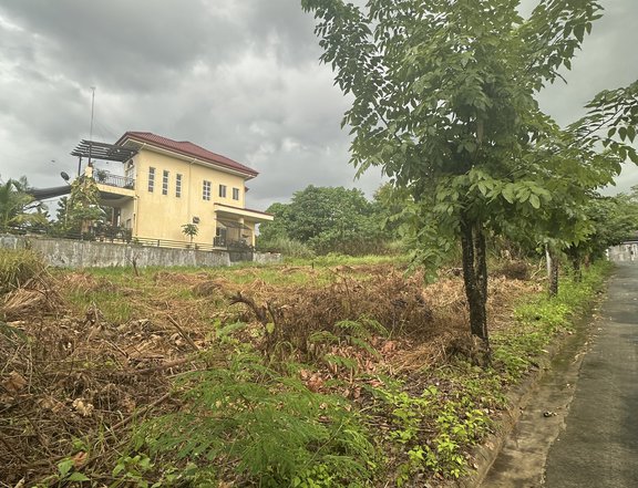 285 sqm Residential Lot For Sale in Villa de Mercedes, Davao City