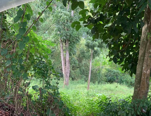 1.2 hectares Residential Farm For Sale in San Rafael Bulacan