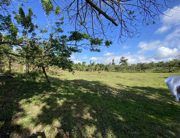 LOT FOR SALE IN SILANG CAVITE!