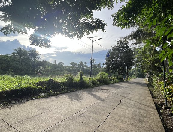 Affordable  Residential Farm Lot for sale in Mendez near Tagaytay