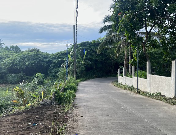 300sqm Residential Farm Lot for sale in Mendez near Tagaytay