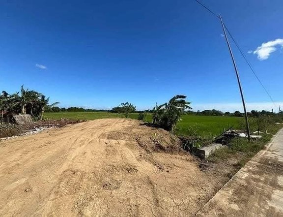 80 sqm Residential Lot For Sale in Oton Iloilo