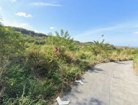 9.45 hectares Raw Land For Sale in Binangonan Rizal