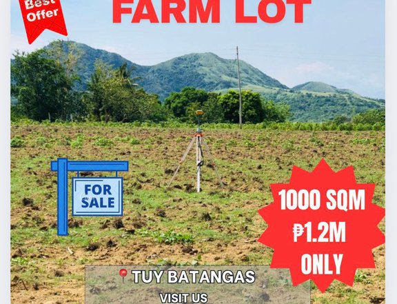 1,000 sqm Farm Lot For Sale in Tuy Batangas