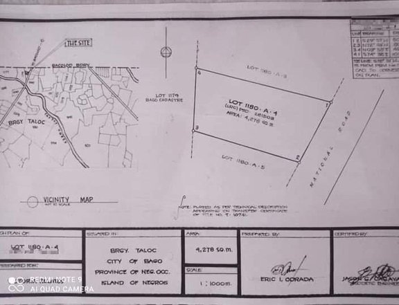 4,278 sqm Commercial Lot For Sale in Bago Negros Occidental