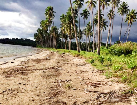 80000 sqm Beach property for sale in Canipaan RIZAL palawan