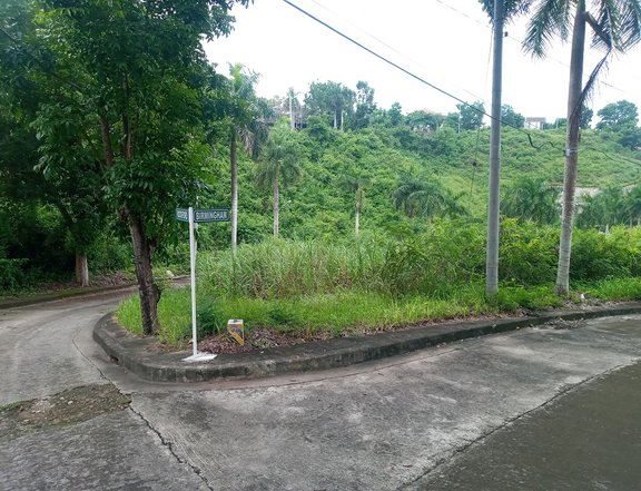 211 sqm corner lot  sale in El Monteverde de Cebu near SM Consolacion