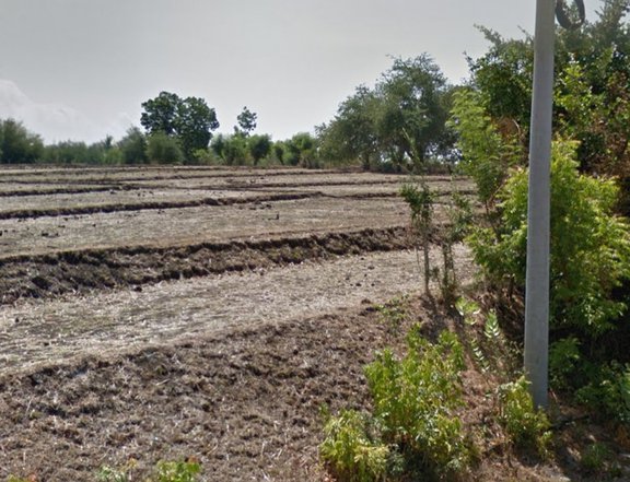 Vacant land for sale.
