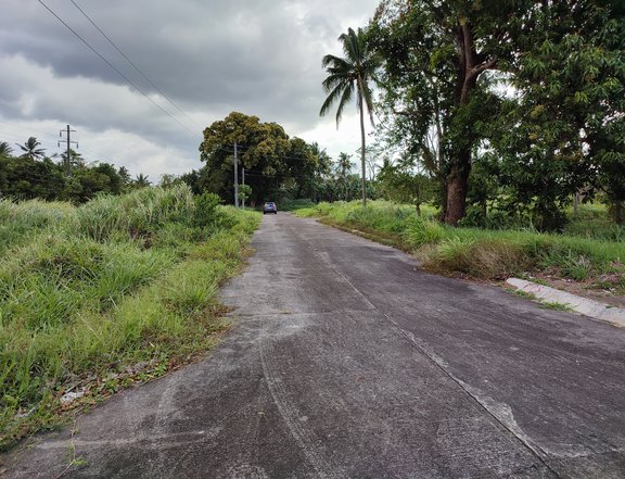 Lot for Sale in Exclusive Subdivision beside Toyota Lipa Batangas