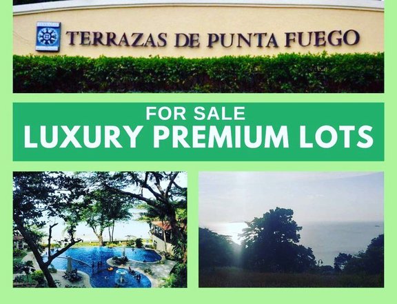 Luxury Lot for Sale in Terrazas De Punta Fuego