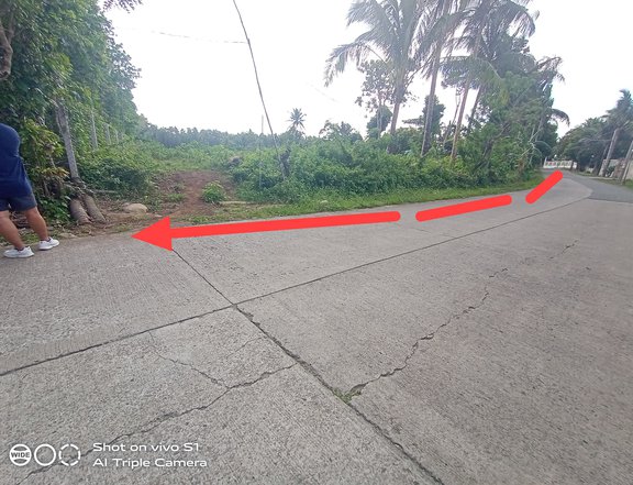 1.4 Has. Land For Sale Alfonso Cavite
