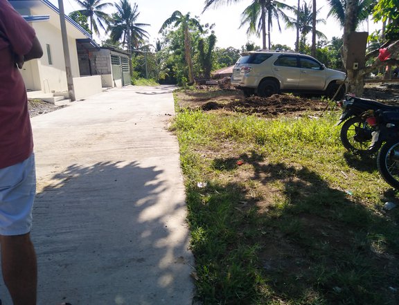 For sale 1,000 sq meter located in Alfonso Cavite