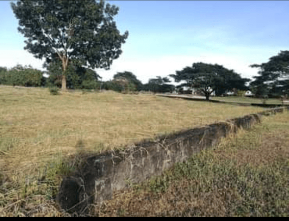 Beverly Place Fairway Lot 300 sqm in Mexico Pampanga