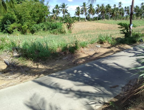 10,500 sqm Agricultural lot For Sale in Calaca Batangas