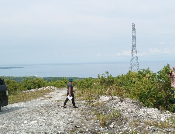 An overlooking seaview lot in Sibonga Cebu