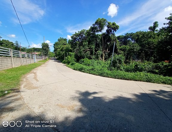 1.2 Hectare Lot For Sale Indang Cavite