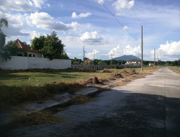 306 sqm Lot For Sale in Eastlake Village, Lakeshore, Mexico Pampanga