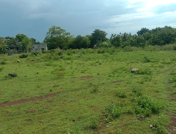 Lot for sale in Cebu Philippines