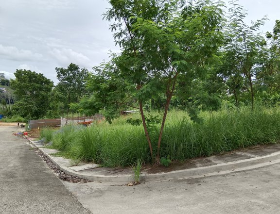 421 sqm Residential Lot For Sale in Antipolo Rizal