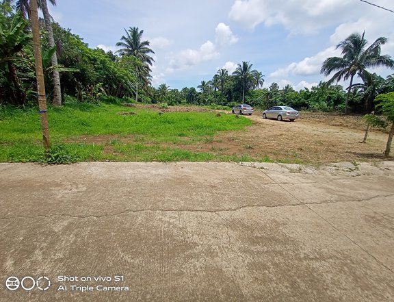 1000sqm Corner Lot For Sale Indang Cavite Few Mins. To Tagaytay