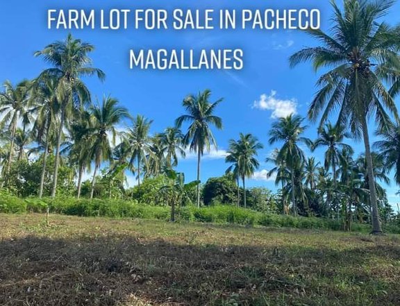 Farm Lot For Sale in Magallanes Cavite