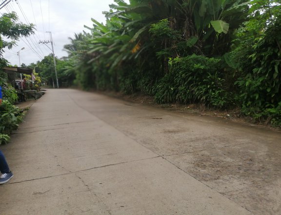 Residential Lot for Sale in Silang Cavite