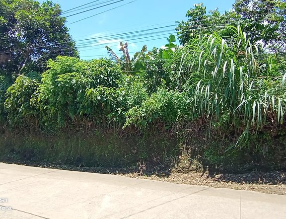 1.5 Has. Farm Lot with Fruit Trees Indang Cavite
