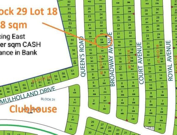 298sqm Residential Lot For Sale in Alabang West Las Piñas City