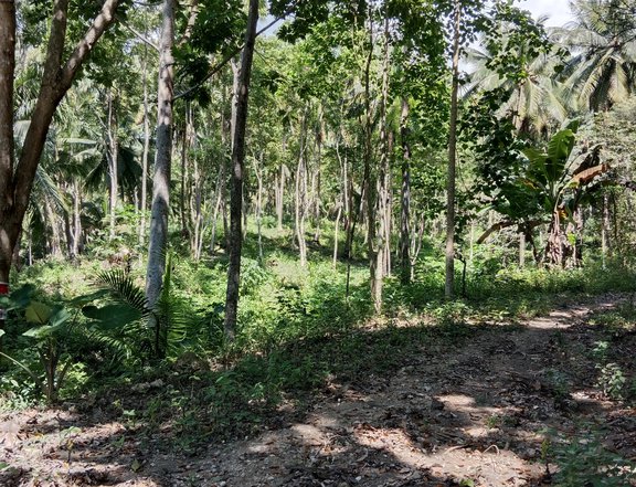 80 sqm Residential Lot, Peaceful w/ Beach Overview in Samal Davao