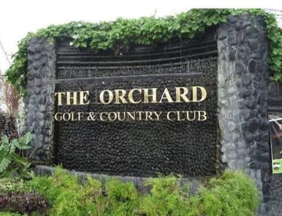 694sqm Lot For Sale in Phase1 of Orchard Golf Dasmarinas Cavite