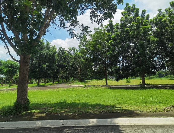 236sqm Lot for Sale in Calamba, Laguna