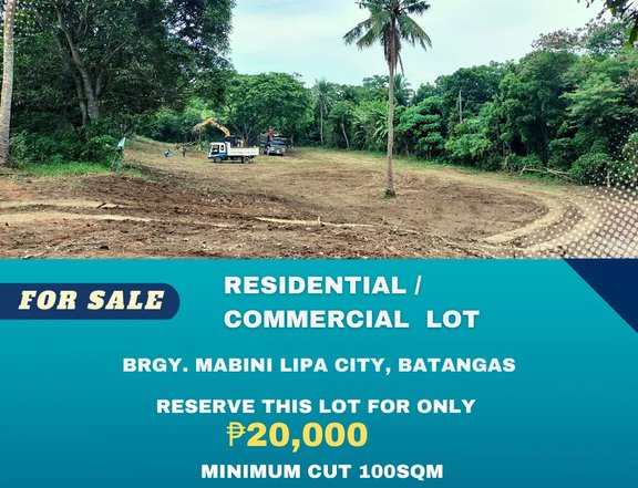 Lot for Sale Along the Highway in Brgy Mabini Lipa City