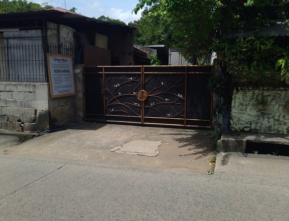 700 sqm Lot For Rent in Angono Rizal