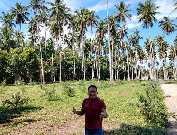 1,000 sqms Agricultural Farm with coconut, dates, rambutan, etc...